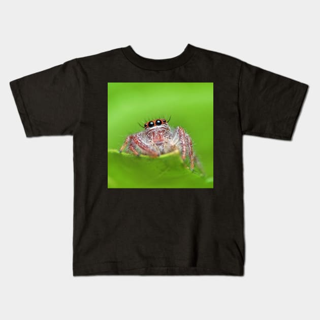 Jumping Spider Kids T-Shirt by Rosettemusicandguitar